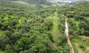 Imagem 7: Sitio c/ 100he (Escriturado), Terra de Cultura, Agrovila da Palmeiras-MT