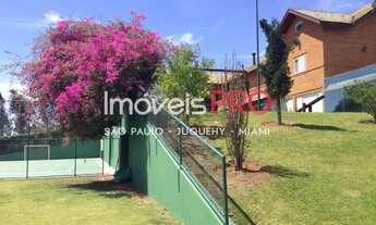 Imagem 7: Dentro das montanhas com vegetação exuberante