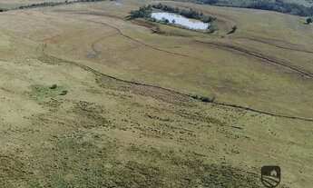 Imagem 4: Fazenda com 686ha em Arroio dos Ratos