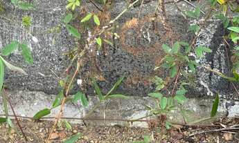 Imagem 4: Vendo 2 Terrenos QUITADOS no Residendial Amazonas 2 em Iranduba