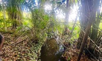 Imagem 5: 60 tarefas com riacho perene e pastagem formada