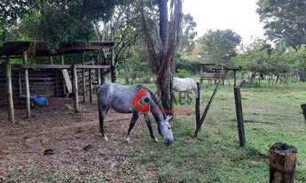 Imagem 3: Chácara à venda, 36000 m² por R$ 425.000,00 - Sao Francisco - São Francisco/SP