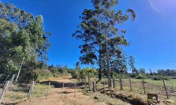 Imagem 2: Fazenda com 686ha em Arroio dos Ratos