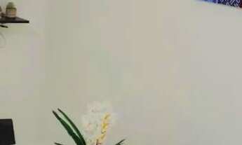 Imagem 4: Apartamento temporada em Canasvieiras, 2 quartos