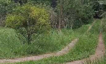 Imagem: Terreno Bairro Santa Isabel