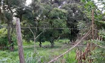 Imagem 3: Lote em Área mista - 11.700m2 - Lagoa de Santo Antônio - Pedro Leopoldo/MG