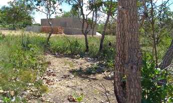 Imagem 7: Linda chácara de 1.000 metros na Cuia região de Baldim. WhTSApp * Guilherme