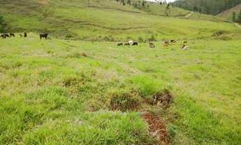 Imagem 7: 50 hectares - ideal para Agricultura, Pecuária. Oportunidade!