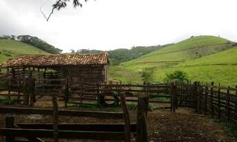 Imagem 4: 50 hectares - ideal para Agricultura, Pecuária. Oportunidade!