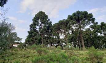 Imagem 4: Sítio 14 hectares em Urupema com Cachoeira