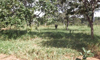 Imagem 2: Linda chácara de 20 mil metros, Jaboticatubas (Temos varias opções