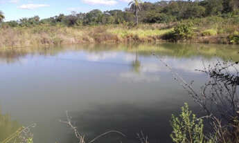 Imagem: Linda fazendinha de 30 mil metros, Serra