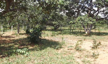 Imagem 3: Linda chácara de 20 mil metros, Jaboticatubas (Temos varias opções