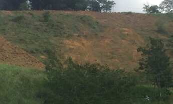 Imagem 3: Sítio de 1 alqueire em Além Paraíba