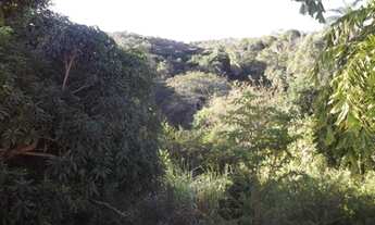 Imagem 5: Fazendinha de 16 hectares com excelente sede em Jaboticatubas!