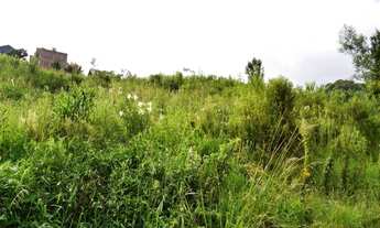 Imagem 5: TERRENOMorro Reuter