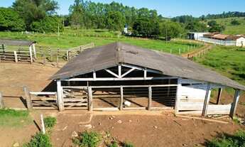 Imagem 7: Linda Chácara 2 alqueires e 5 litros Municipio de Ihumas GO