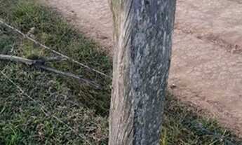 Imagem 6: TERRENO COM VISTA PARA A REPRESA À VENDA