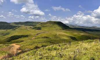 Imagem 3: TERRENO CAMPO DOS PADRES - ÁREA 51