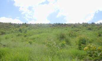 Imagem 4: Terreno de 1.000m². Barato e imperdível!