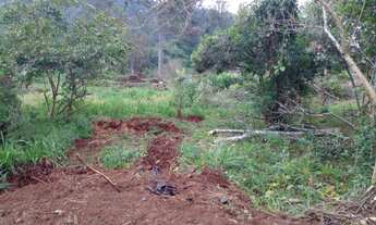 Imagem 3: TENHO PRA VENDER