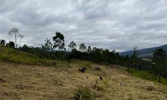 Imagem 7: M13- Oportunidade única de ter seu terreno