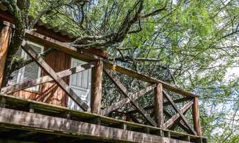 Imagem 3: Belíssima chácara medindo 25.000m² !!!