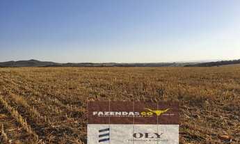 Imagem 2: Área Rural Premium - 20 Alqueires | Indiara-GO