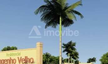 Imagem 2: Nova Odessa - Terreno Padrão - Jardim Primavera