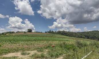 Imagem 2: O/26* Terrenos 35.000 mil