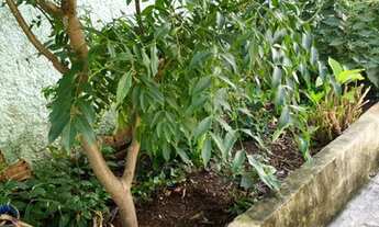 Imagem 6: Casa para venda tem 100 metros quadrados com 3 quartos em Jardim Europa - Goiânia - GO