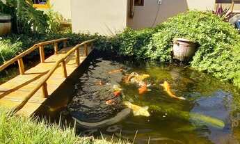 Imagem 6: DOIS IRMÃOS - Casa Padrão - Bela Vista