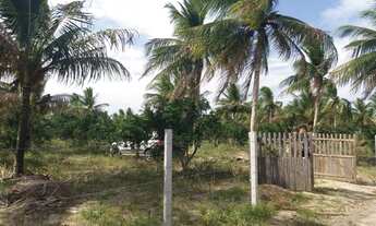 Imagem 4: Sitio em acajutiba - 1tarefa e meia na cidade