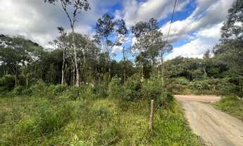 Imagem 3: TERRENO À VENDA EM SÃO JOSÉ DOS PINHAIS, PROXIMO AO PEDAGIO DA BR 277