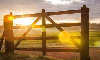 Imagem: Terreno - Residencial Haras Patente - Jaguariúna