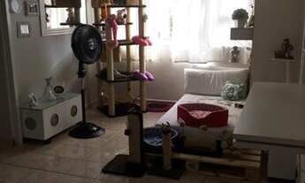 Imagem 3: SANTOS - Apartamento Padrão - APARECIDA