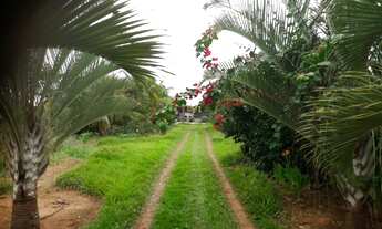 Imagem 7: Vendo chácara recreio