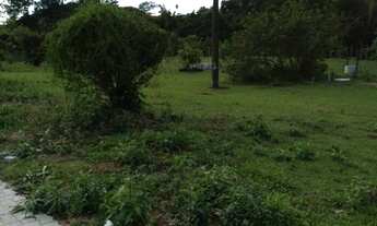 Imagem 4: Terrenos de 653m² á 1800m²- Guararema de R$ 281 mil á 836 mil- Cond. Fundo para Rio Paraib