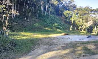 Imagem 6: Pedro do Rio (Vale do Barão) - Terreno com 7.800m². oportunidade!