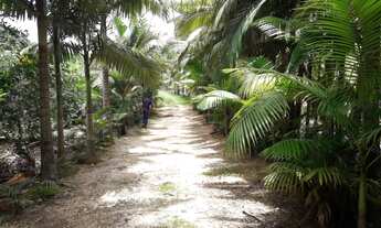 Imagem 5: GARUVA - Chácara - CENTRO