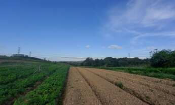 Imagem 5: O/26 Terreno para venda com 500m² metros quadrados em Adalgisa - Osasco - São Paulo