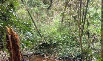 Imagem 2: Chácara a venda parcelo 60