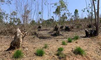 Imagem 2: Terreno com ruas abertas