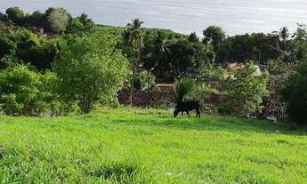Imagem 5: Terreno em Maceió-AL vista para Lagoa