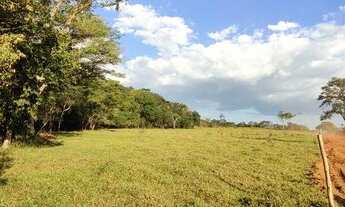 Imagem: Lotes Rurais em São Gonçalo do Pará !!