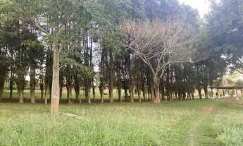 Imagem 5: Terreno Venda direto com o Proprietário