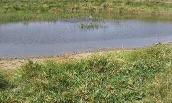 Imagem 5: 180 alqueres de terra