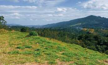 Imagem 7: 03m-Terrenos de 1000m² com excelente topografia!!