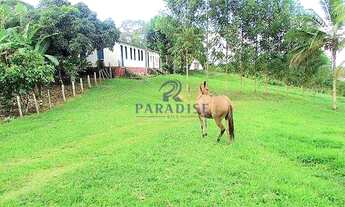 Imagem 4: Fazenda em Itabuna, frente para BR 101-160 ha- R$ 10.000.000,00