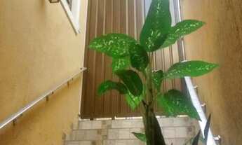 Imagem: Casa com 2 Quartos 110 m² Jardim Pirajussara